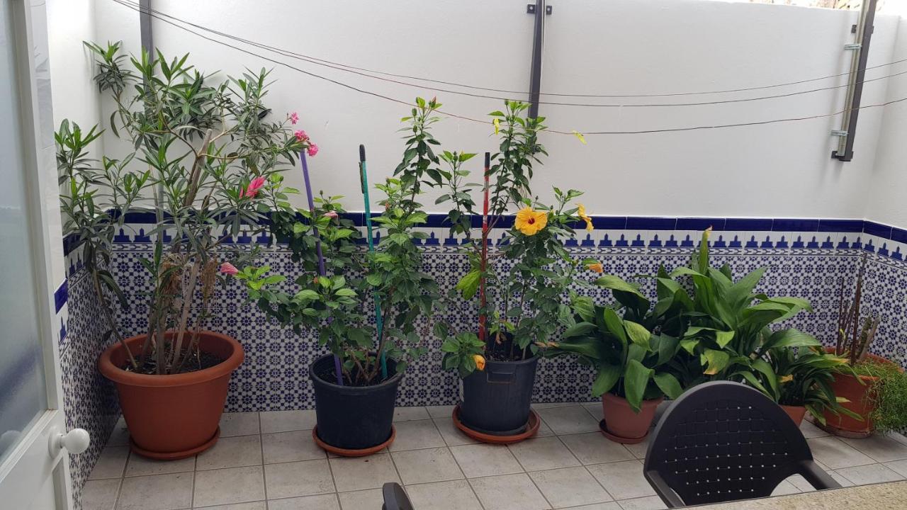 Apartamento Callejuela Las Flores Algodonales Luaran gambar